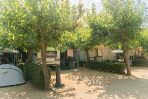 a group of trees in front of a house at Camping Sènia Caballo de Mar in Pineda de Mar