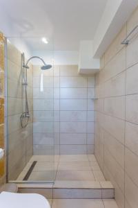 a bathroom with a shower with a glass door at The Life Suites in Limnionas