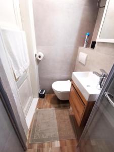 a bathroom with a toilet and a sink and a shower at Apartment Mama H in Dubrovnik