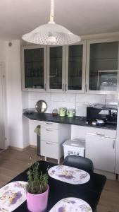 Kuchyň nebo kuchyňský kout v ubytování Ferienwohnung Andreas Krysta