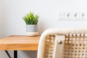 a potted plant sitting on a wooden table at Casa Letrigo in Arcos de Valdevez