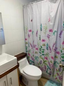 a bathroom with a toilet and a shower curtain at cabañas anvi pucon in Pucón