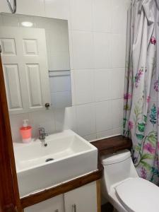 uma casa de banho com um lavatório, um WC e um espelho. em cabañas anvi pucon em Pucón