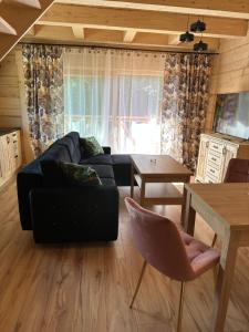a living room with a black couch and a table at Roomflacja Bałtyk in Sianozety
