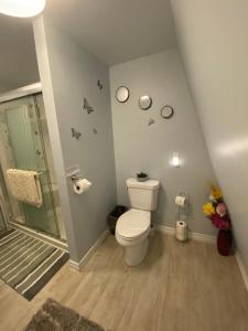 a bathroom with a toilet and a walk in shower at Ingonish Loft in Ingonish