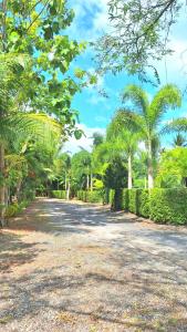 a gravel road with palm trees and a fence at Amantra homestay & village in Surat Thani