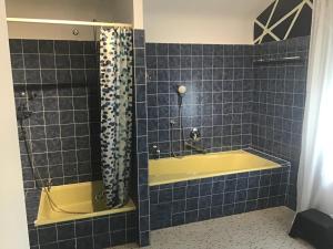 Ένα μπάνιο στο Rheingauzuhause mit Privatpool +8 φωτογραφίες