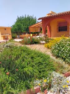 索爾索的住宿－Casa Marina Lu Tuvaraggiu Casa vacanze，鲜花屋前的花园