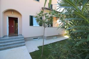 budynek ze schodami i roślina przed nim w obiekcie Apartment in Porec 10 w Poreču
