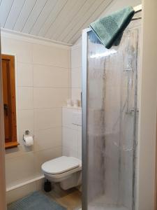 e bagno con servizi igienici, doccia e asciugamano. di Ferienhaus Seebrise - a90151 a Bad Bederkesa