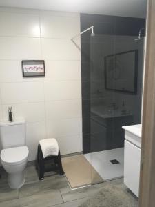 a bathroom with a toilet and a glass shower at Casa do Castelo I in Bragança