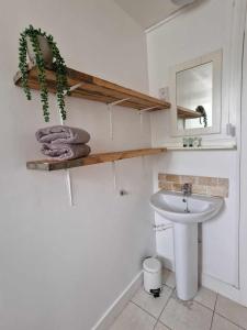 une salle de bain avec un lavabo et un miroir dans l'établissement Studio Apartment, Private Parking, Walk To Centre, Uni and Hospital, Long Stay Prices, à Exeter