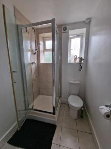 uma casa de banho com um chuveiro e um WC. em Studio Apartment, Private Parking, Walk To Centre, Uni and Hospital, Long Stay Prices em Exeter
