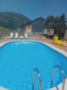 een groot blauw zwembad met stoelen eromheen bij Casa Antonio in Susañe del Sil