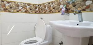 a bathroom with a toilet and a sink at Apex Inn Guest House in Islamabad
