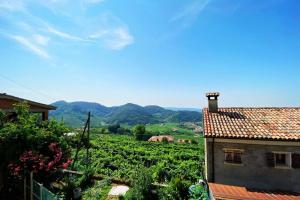 vistas a una granja con una casa y un campo de cultivos en ValdoCaban: Oasis among the Vines, en Santo Stefano