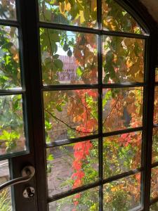 Giardino di Artists' Colony Inn Zefat