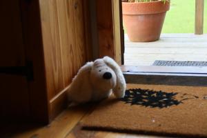 a teddy bear sitting on the floor in front of a door at Knapp Farm Glamping Puki Pod in Corscombe