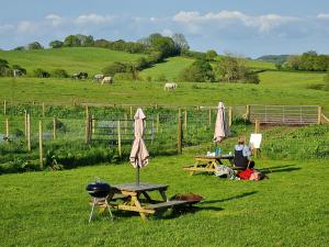 a woman sitting at a picnic table with umbrellas in a field at Knapp Farm Glamping Puki Pod in Corscombe