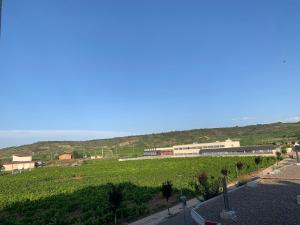 una vista de un viñedo con un edificio en el fondo en Casa Cristina - Rioja II en Cenicero