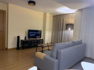 sala de estar con sofá y TV en Casa Cristina - Rioja II en Cenicero