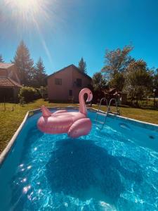 einem rosa aufblasbaren Schwan in einem Pool in der Unterkunft LiamMarco in Plaški
