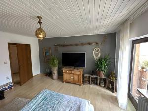 TV a/nebo společenská místnost v ubytování Urlaubstraum am Brombachsee- 5 stilvolle Zimmer-