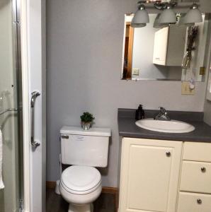 a bathroom with a toilet and a sink at Big Hollow Guest House in Spring Green