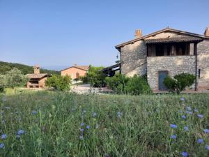 un campo di fiori viola di fronte a un edificio di Agriturismo Trosciole a Massa Martana