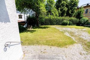 a grassy yard with a tree and a building at City Center Rooms Kitzbühel in Kitzbühel