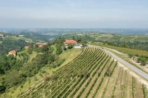an aerial view of a vineyard on a hill with a road at Agriturismo Cantine Bevione - Family Apartments in Farigliano