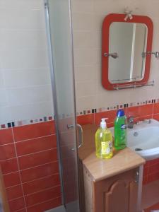 a bathroom with a sink and a mirror at Hotel Princ in Shkodër
