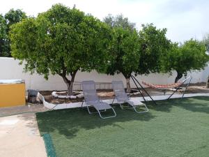 two chairs and a hammock under a tree at A Casa do Barqueiro- Alentejo in Pedrógão