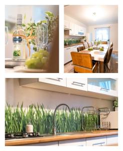 a collage of photos of a kitchen with plants at Dom na Mazurach nad jeziorem Białym Zakątek Zacisze in Langendorf