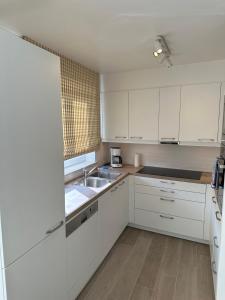 Η κουζίνα ή μικρή κουζίνα στο Residentie Beach +9 φωτογραφίες