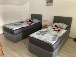 2 Betten in einem Zimmer mit 2 Schlafgelegenheiten in der Unterkunft Ferienwohnung im Biosphärenreservat Drömling in Calvörde