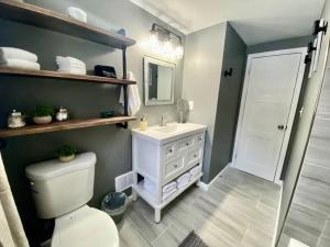 ein Badezimmer mit einem WC, einem Waschbecken und einem Spiegel in der Unterkunft Rustic Elegance 3BDR Stylish Farmhouse Getaway in Schenectady