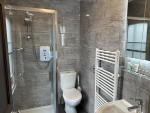 a bathroom with a shower and a toilet and a sink at The Dove Inn in Alburgh