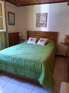 een slaapkamer met een groen bed met 2 kussens bij Les Lierrres in Cilaos
