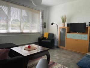 ein Wohnzimmer mit einem Sofa, einem Tisch und einem TV in der Unterkunft HUUS UTSPANN FeWo mit Terrasse - 23 km vor Hamburg - in Seevetal