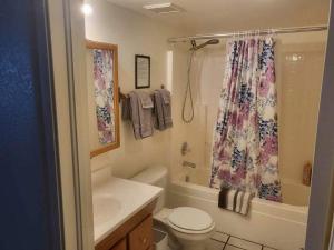 佩吉的住宿－Tail Wind Life LLC，浴室配有卫生间、盥洗盆和淋浴。