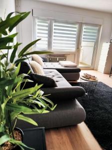 salon z 3 kanapami i roślinami w obiekcie BeBu - Apartment w mieście Friedrichshafen