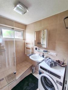 W łazience znajduje się pralka i umywalka. w obiekcie BeBu - Apartment w mieście Friedrichshafen