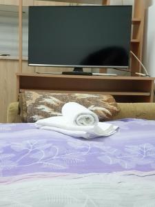 a bed with a flat screen tv in a bedroom at Kod nane Cane in Nova Varoš