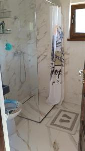 La salle de bains est pourvue d'une douche et de toilettes. dans l'établissement Chalets du BF, à Sighişoara