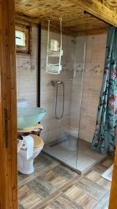 a bathroom with a shower and a toilet and a sink at Chalets du BF in Sighişoara