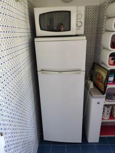 un forno a microonde seduto sopra un frigorifero di VisitPonza - Olimpo a Ponza
