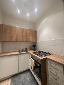 a kitchen with wooden cabinets and a stove top oven at Stylish Apartment, next to Schloss Belvedere in Vienna