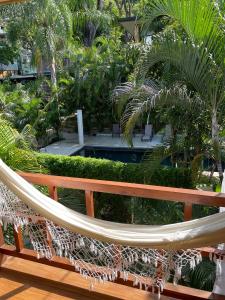 a hammock in a garden with palm trees at Ohana Villas in Santa Teresa Beach