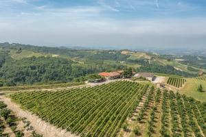een luchtzicht op een wijngaard in de heuvels bij Agriturismo Cantine Bevione - Rooms with air conditioning in Belvedere Langhe